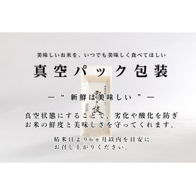 令和7年産 新米《 雪蔵貯蔵 無洗米 》魚沼産コシヒカリ 雪と技 真空パック 2合×12袋入 特A