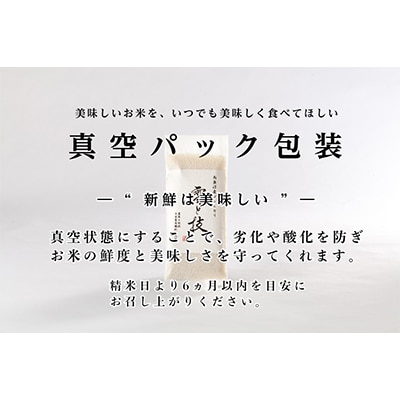 【毎月定期便】《雪蔵貯蔵米》 魚沼産コシヒカリ 「雪と技」【 真空 2合 (精米)×12袋】×全6回