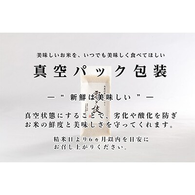 【毎月定期便】《雪蔵貯蔵米》 魚沼産コシヒカリ 雪と技【 真空 2合 (精米)×12袋 】×全12回