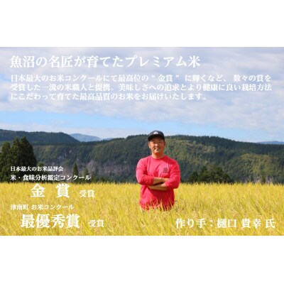 【毎月定期便】《雪蔵貯蔵米》魚沼産コシヒカリ「雪と技」特A 2合×12袋(精米)全12回