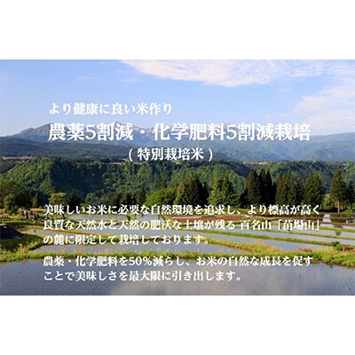 2023年12月発送開始『定期便』雪蔵貯蔵米 魚沼産コシヒカリ「雪と技」5kg(精米)全3回