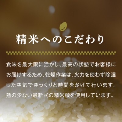高級魚沼産コシヒカリ「雪椿」精米450g×3袋　特別栽培米