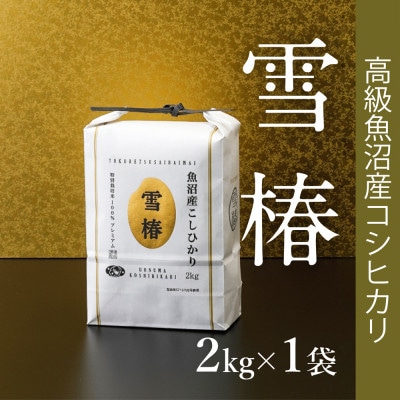 高級魚沼産コシヒカリ「雪椿」精米2kg(2kg×1袋)　特別栽培米