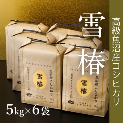 【令和8年産 コシヒカリ 先行予約】高級魚沼産コシヒカリ「雪椿」精米30kg(5kg×6袋)一括発送