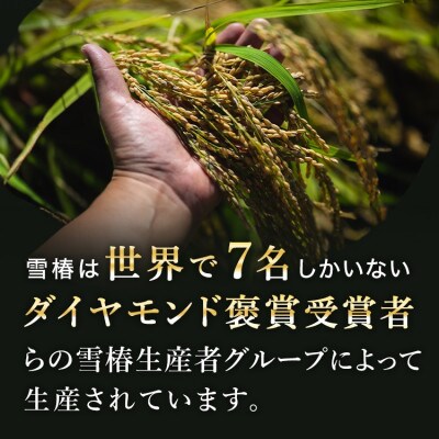 令和8年産 最高級魚沼産コシヒカリ 精米「雪椿」10kg 魚沼のおいしいお水雪椿水 2L×4本セット