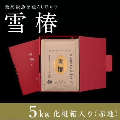 令和8年産 最高級魚沼産コシヒカリ 精米「雪椿」5kg 化粧箱入り(赤地)