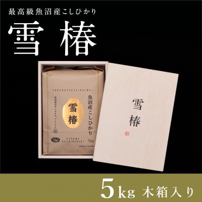 令和8年産 最高級魚沼産コシヒカリ 精米「雪椿」5kg 木箱入り
