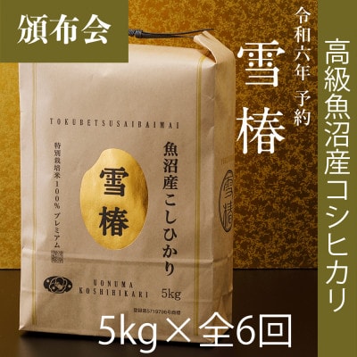 【発送月固定定期便】【令和6年産】高級魚沼産コシヒカリ「雪椿」5kg全6回