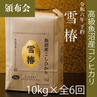 【発送月固定定期便】【令和6年産】高級魚沼産コシヒカリ「雪椿」10kg(5kg×2袋)全6回