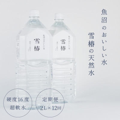 【発送月固定定期便】雪椿の天然水 硬度16度超軟水[2L×6本]全12回