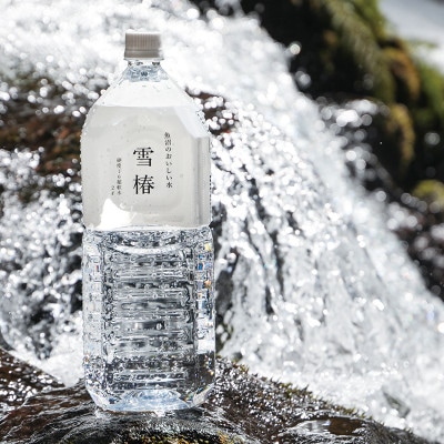 【発送月固定定期便】雪椿の天然水 硬度16度超軟水[2L×6本]全12回