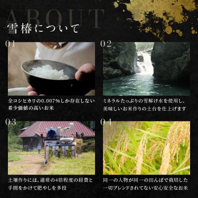 【毎月定期便】高級魚沼産コシヒカリ「雪椿」精米 5kg(5kg×1袋) 特別栽培米全3回