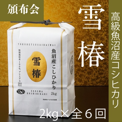 【毎月定期便】高級魚沼産コシヒカリ「雪椿」精米 2kg(2kg×1袋) 特別栽培米全6回