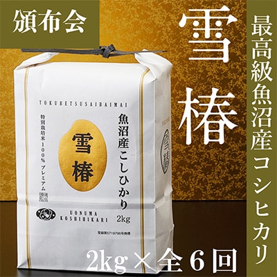 2024年6月発送開始『定期便』高級魚沼産コシヒカリ「雪椿」2kg×全6回