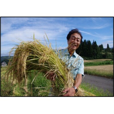 魚沼産コシヒカリ　苗場プリンセス米　農薬・化学肥料慣行栽培の5割以上削減　精米5kg