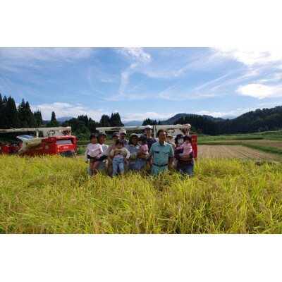 杵つき生きり餅・栽培期間中農薬不使用　4種・計4パックセット(白餅、草餅、豆餅、玄米餅 各1パック)