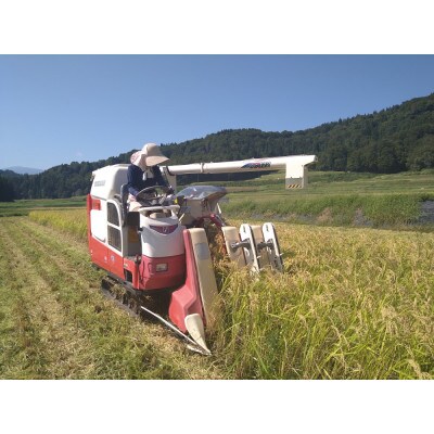 杵つき生きり餅・栽培期間中農薬不使用　4種・計4パックセット(白餅、草餅、豆餅、玄米餅 各1パック)
