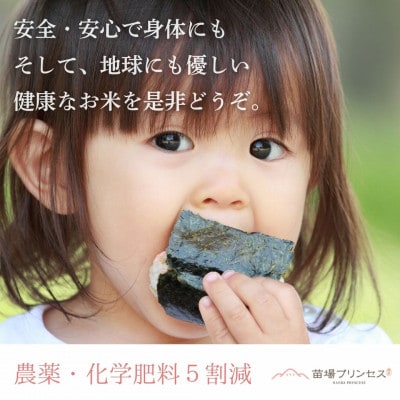 魚沼産もち米「こがねもち 苗場プリンセス」精米 5kg 特別栽培米