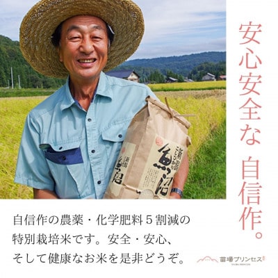 魚沼産もち米「こがねもち 苗場プリンセス」精米 5kg 特別栽培米