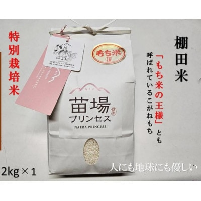 【栽培期間中農薬不使用】魚沼産こがねもち 特別栽培米 精米2kg