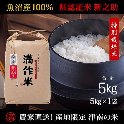 県認証 魚沼津南産新之助 5kg 産地限定!農家直送