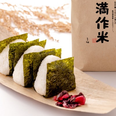 【毎月定期便】農家直送【特栽魚沼産コシヒカリ合計60kg】5kg全12回