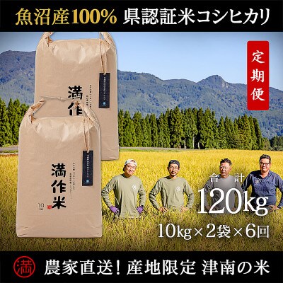 【毎月定期便】農家直送【特栽魚沼産コシヒカリ合計120kg】20kg全6回