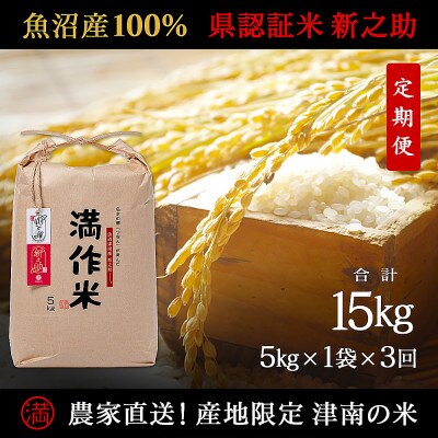 【毎月定期便】農家直送【特栽魚沼産新之助 精米 合計15kg】5kg全3回