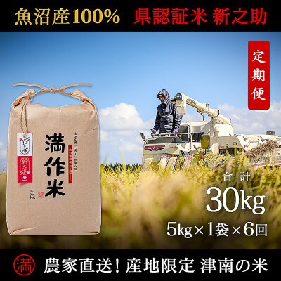 【毎月定期便】農家直送【特栽魚沼産新之助 精米 合計30kg】5kg全6回