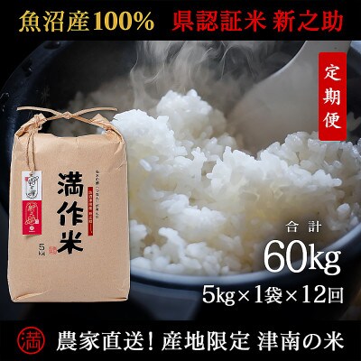 【毎月定期便】農家直送【特栽魚沼産新之助 精米 合計60kg】5kg全12回