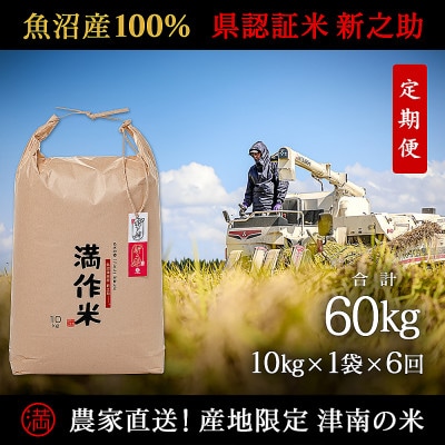 【毎月定期便】農家直送【特栽魚沼産新之助 精米 合計60kg】10kg全6回