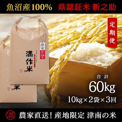 【毎月定期便】農家直送【特栽魚沼産新之助 精米 合計60kg】20kg全3回