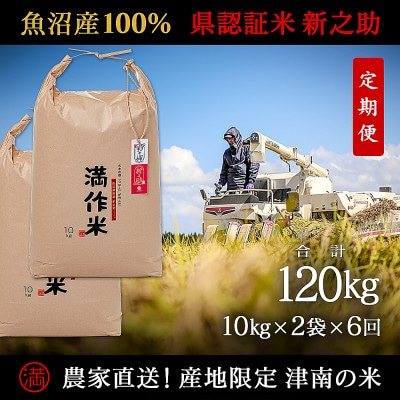 【毎月定期便】農家直送【特栽魚沼産新之助 精米 合計120kg】20kg全6回