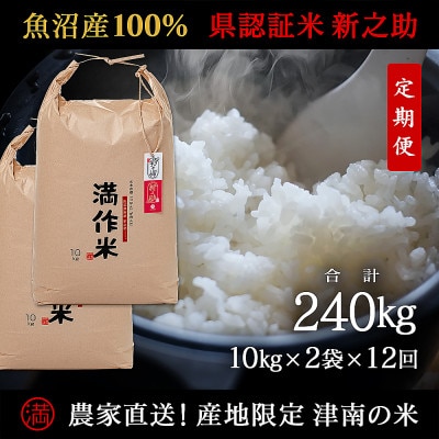 【毎月定期便】農家直送【特栽魚沼産新之助 精米 合計240kg】20kg全12回