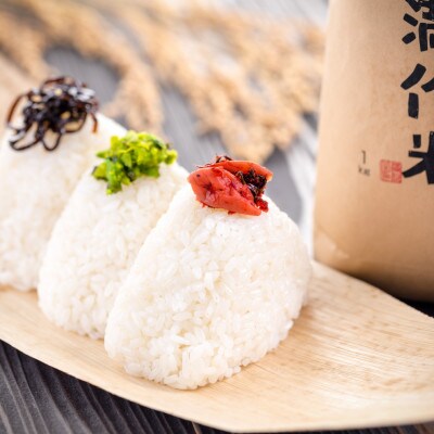 【毎月定期便】農家直送【元祖魚沼産コシヒカリ精米 合計60kg】5kg全12回
