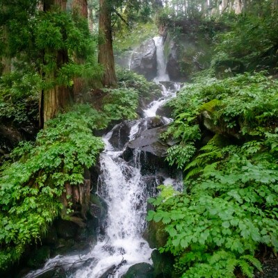 【毎月定期便】農家直送【元祖魚沼産コシヒカリ精米 合計30kg】10kg全3回