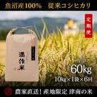 【毎月定期便】農家直送【元祖魚沼産コシヒカリ精米 合計60kg】10kg全6回