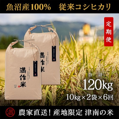 【毎月定期便】農家直送【元祖魚沼産コシヒカリ精米 合計60kg】20kg全6回