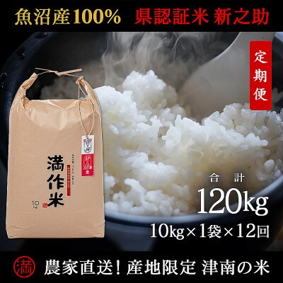 【毎月定期便】農家直送【特栽魚沼産新之助 精米 合計120kg】10kg(10kg×1袋 )全12回