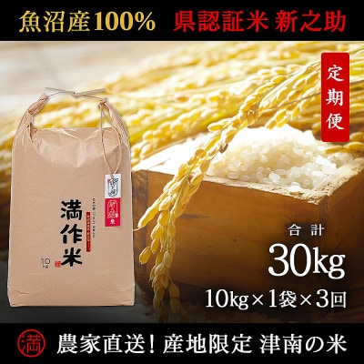 【毎月定期便】農家直送【特栽魚沼産新之助 精米 合計30kg】10kg(10kg×1袋 )全3回