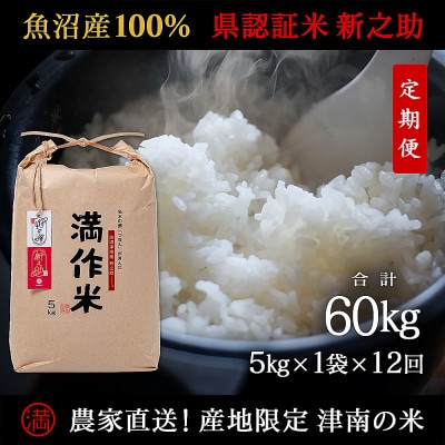 【毎月定期便】農家直送【特栽魚沼産新之助 精米 合計60kg】5kg(5kg×1袋 )全12回