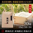 【毎月定期便】県認証特栽元祖魚沼産コシヒカリ10kg (10kg×1袋)×3回 合計30kg全3回