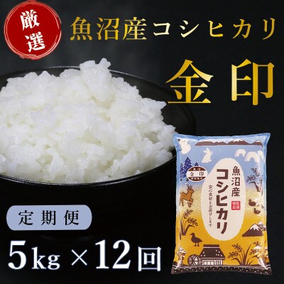 【毎月定期便】魚沼産コシヒカリ「金印」高食味米 精米 5kg 全12回
