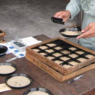 【毎月定期便】魚沼産コシヒカリ「金印」高食味米 精米 5kg 全12回