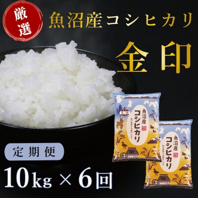 【毎月定期便】魚沼産コシヒカリ「金印」高食味米 精米 10kg 全6回