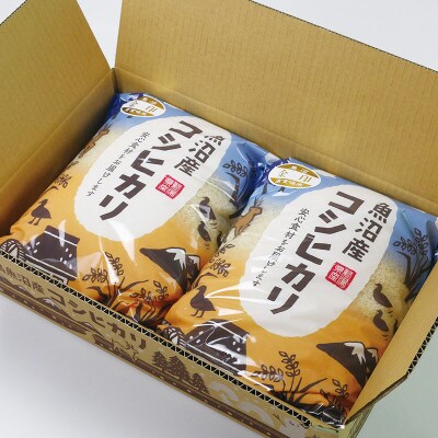 【毎月定期便】魚沼産コシヒカリ「金印」高食味米 精米 10kg 全6回
