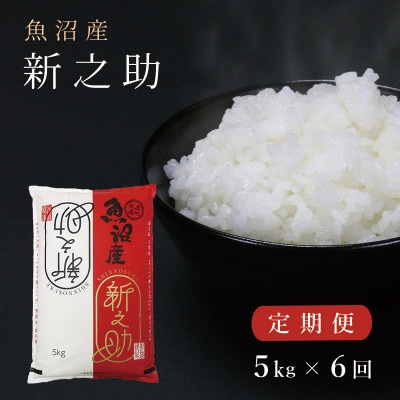 【毎月定期便】中魚沼産「新之助(しんのすけ)」精米 5kg 全6回
