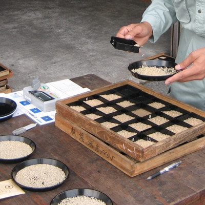 【毎月定期便】中魚沼産「新之助(しんのすけ)」精米 5kg 全6回