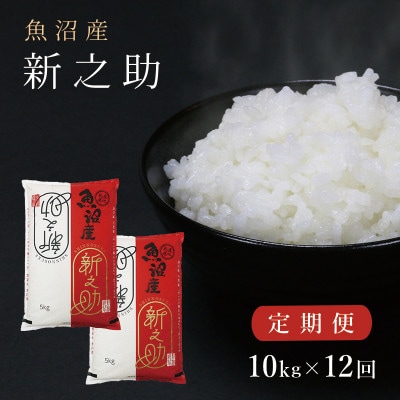 【毎月定期便】中魚沼産「新之助(しんのすけ)」精米 10kg 全12回