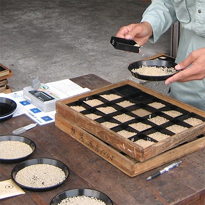 2023年9月発送開始『定期便』魚沼産コシヒカリ「金印」高食味米 5kg 全12回